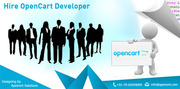Apeiront  Offers To Hire Opencart Developer @ 13 $ Per Hour