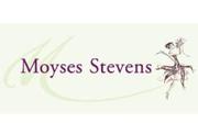 Moyses Stevens - Luxury Flowers