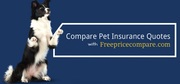 Compare Pet Insurance Quotes
