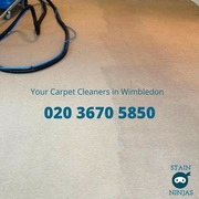 Carpet cleaners Wimbledon