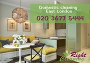 Domestic cleaners East London