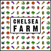 Fresh Fruit and Veg Delivery in Chelsea London