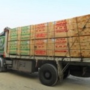 Eldahman CO For Importing & Exporting Wood