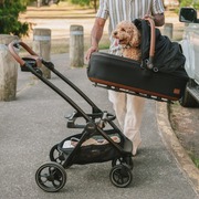 Animal Stroller